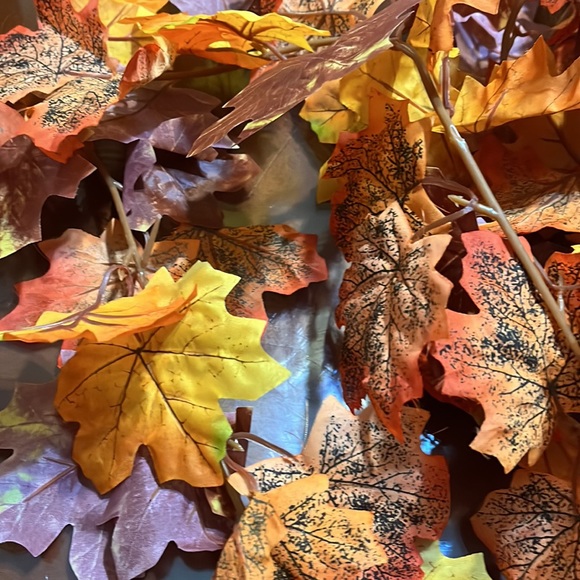 Fall decor - Picture 4 of 6